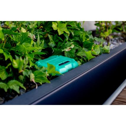 Immax NEO 07509L - Jordfuktighet och temperatursensor NEO LITE Wi-Fi 3xAAA IP65