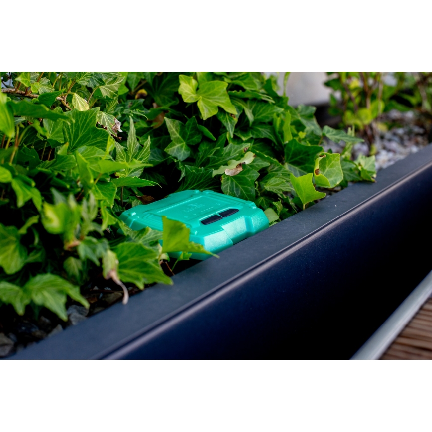 Immax NEO 07509L - Jordfuktighet och temperatursensor NEO LITE Wi-Fi 3xAAA IP65