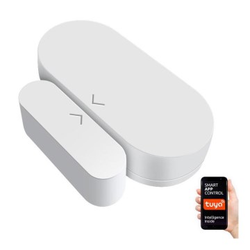 Immax NEO 07518L - Magnetic sensor för door and windows 1xCR2032 Tuya
