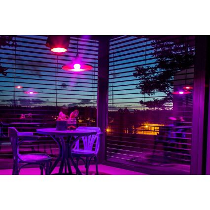 Immax NEO 07712CDO - KIT 3x LED RGB+CCT Ljusreglerad glödlampa E27/9W/230V Wi-Fi Tuya + fjärrkontroll