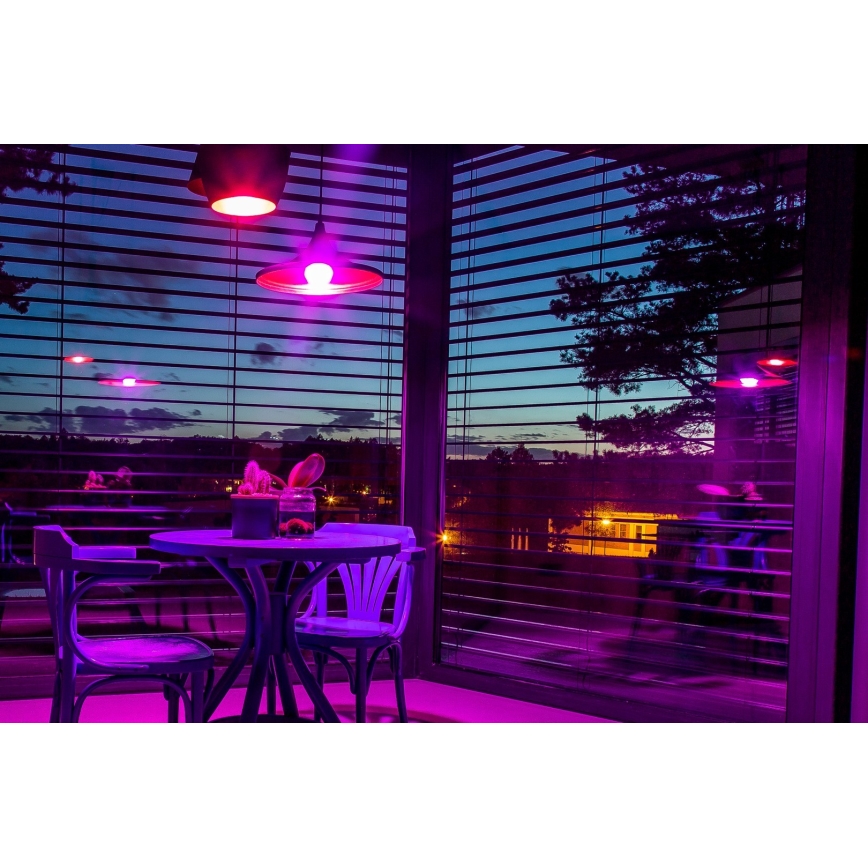 Immax NEO 07712CDO - KIT 3x LED RGB+CCT Ljusreglerad glödlampa E27/9W/230V Wi-Fi Tuya + fjärrkontroll