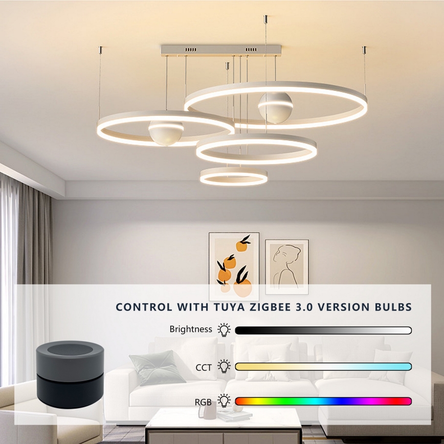 Immax NEO 07768L - Smart svängbar dimmer 1xCR2032 Tuya