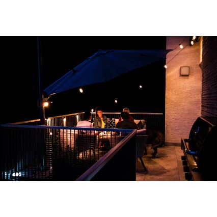 LED RGB+CCT Ljusreglerad utomhus kedja KRANS 15xLED/1W/230V 15m Wi-Fi Tuya IP65 + fjärrkontroll