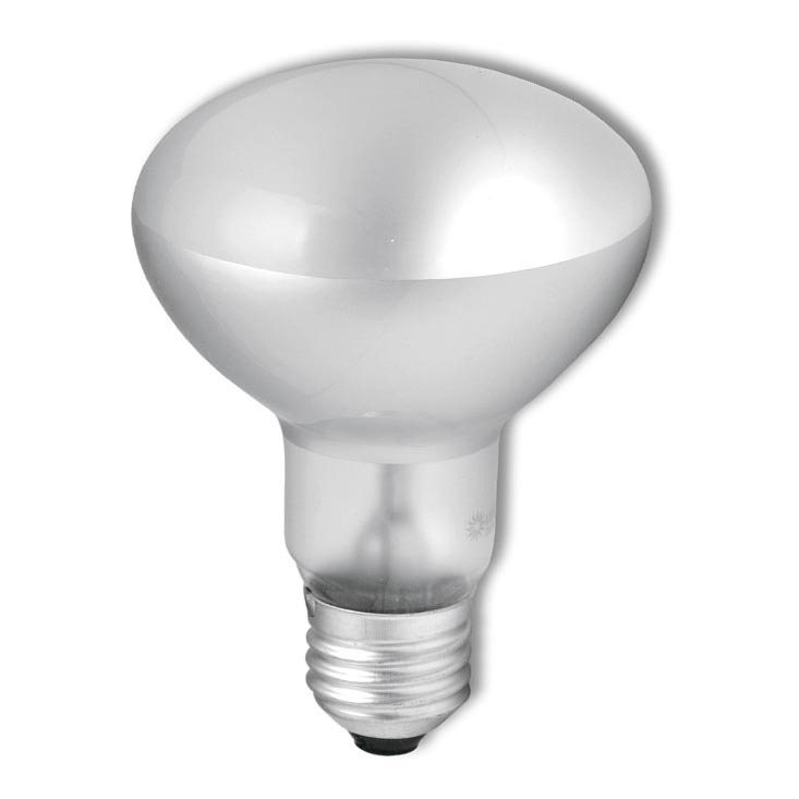 Industriell strålkastarglödlampa R63 E27/40W/230V 2700K