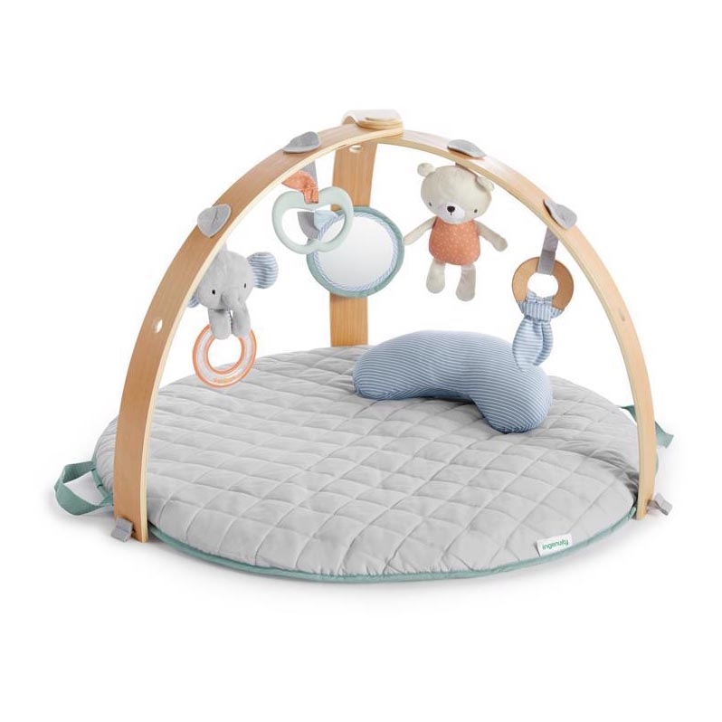 Ingenuity - Babygym LOAMY mint/grå