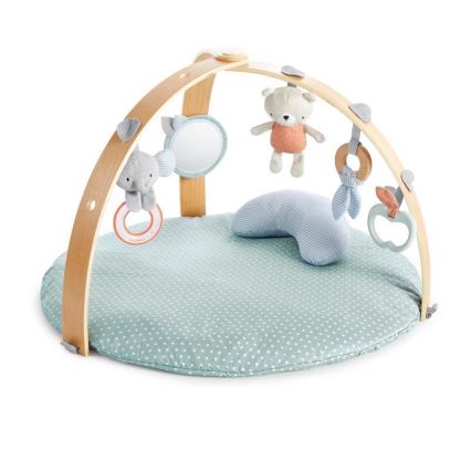 Ingenuity - Babygym LOAMY mint/grå