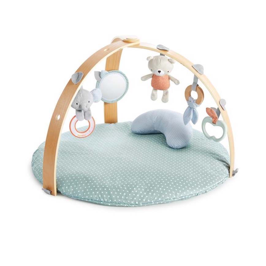 Ingenuity - Babygym LOAMY mint/grå