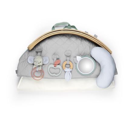 Ingenuity - Babygym LOAMY mint/grå