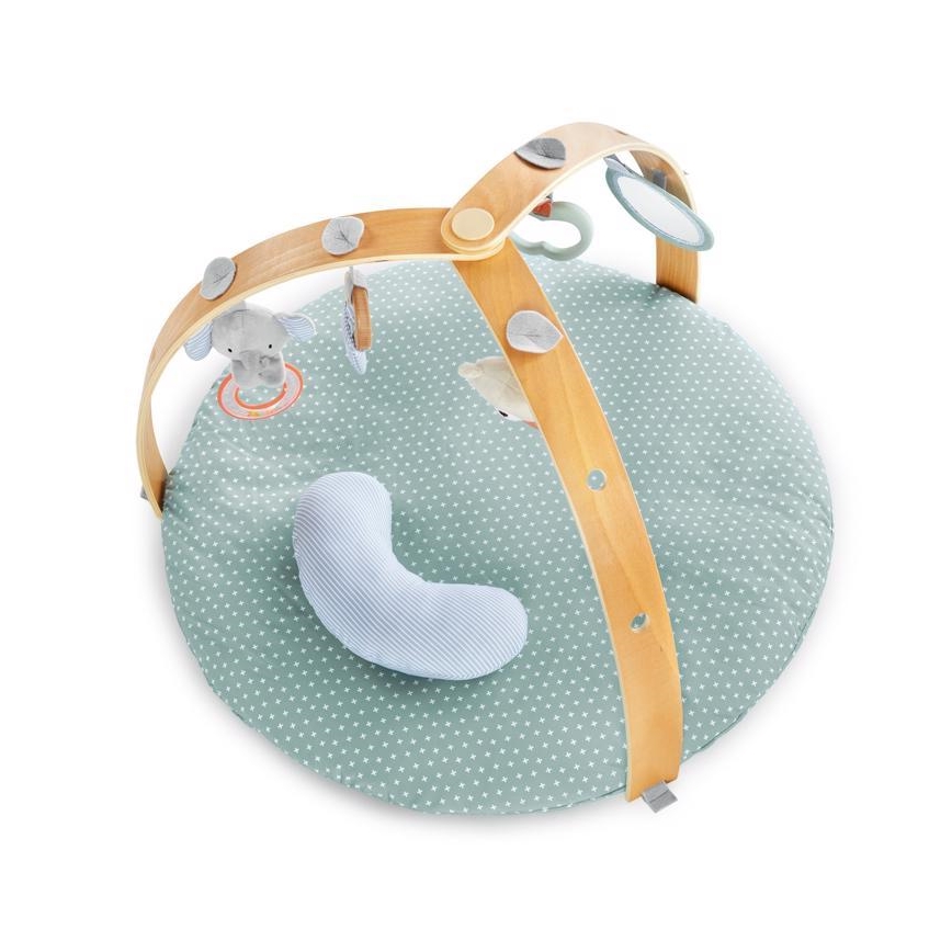 Ingenuity - Babygym LOAMY mint/grå