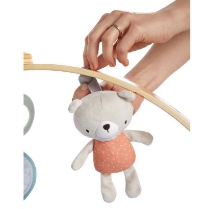 Ingenuity - Babygym LOAMY mint/grå