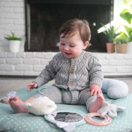 Ingenuity - Babygym LOAMY mint/grå