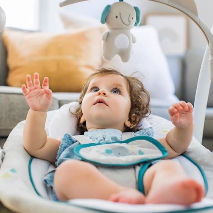Ingenuity - Babysitter med musik och vibration 2i1 NASH