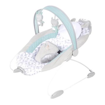Ingenuity - Babysitter med vibration och musik RAYLAN