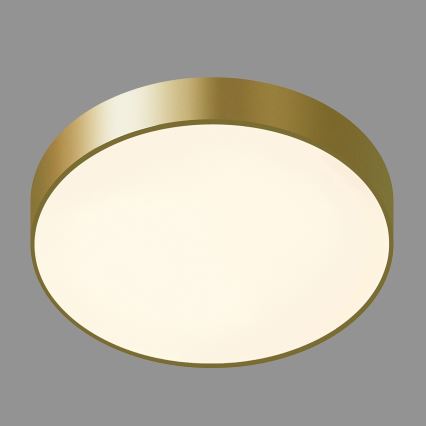 ITALUX - LED taklampa ORBITAL LED/30W/230V 3000K guld