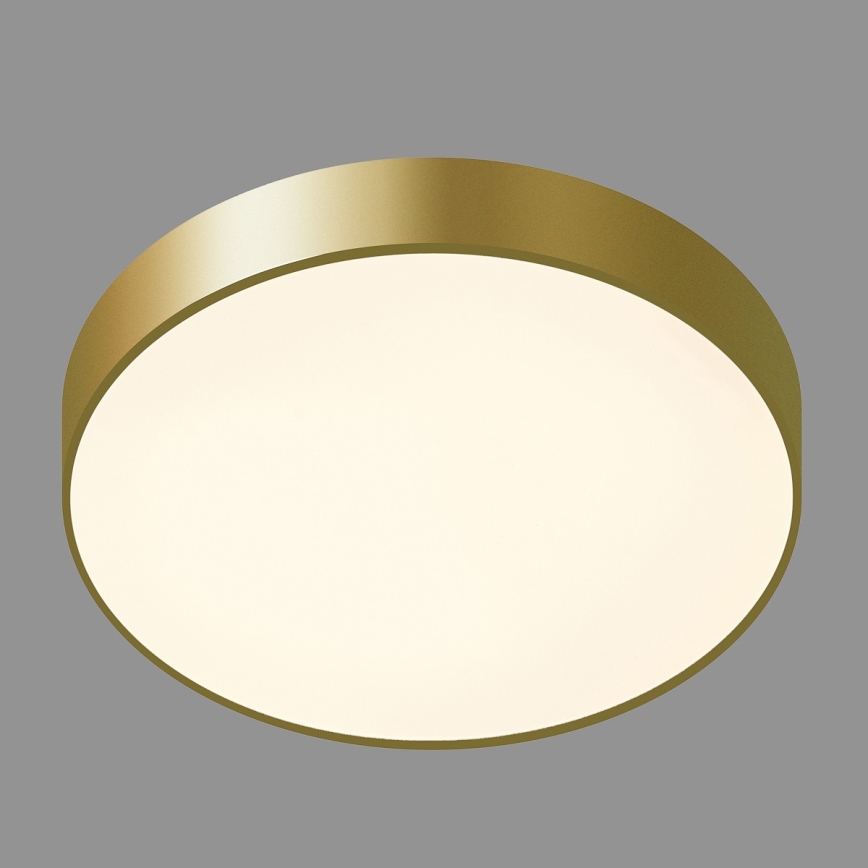 ITALUX - LED taklampa ORBITAL LED/30W/230V 3000K guld