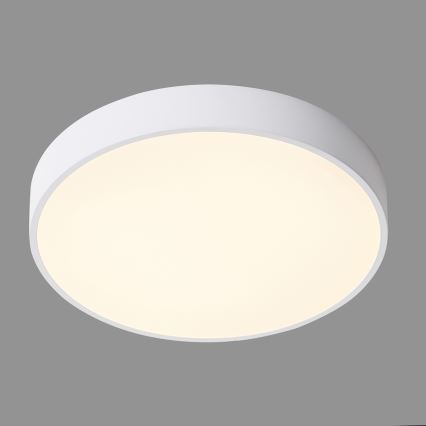ITALUX - LED taklampa ORBITAL LED/30W/230V 3000K vit