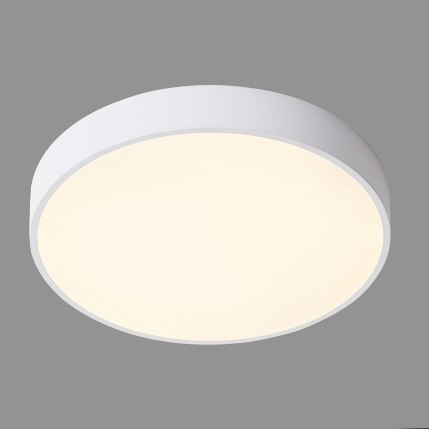 ITALUX - LED taklampa ORBITAL LED/30W/230V 3000K vit