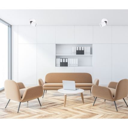 ITALUX FH31311B - Spotlight LUCIEN 1xGU10/35W/230V