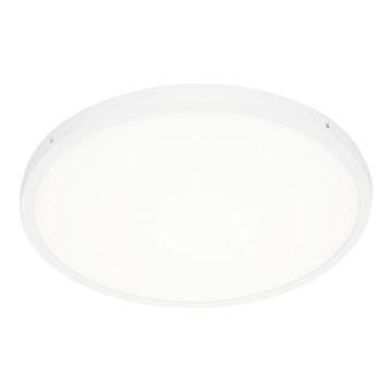 ITALUX - LED taklampa PELARO LED/36W/230V 4000K diameter 50 cm vit