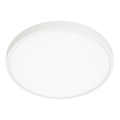 ITALUX - LED taklampa RIBERIO LED/30W/230V 3000K vit