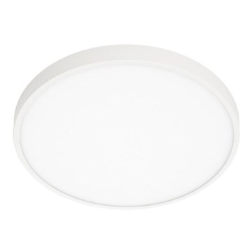ITALUX - LED taklampa RIBERIO LED/30W/230V 4000K vit