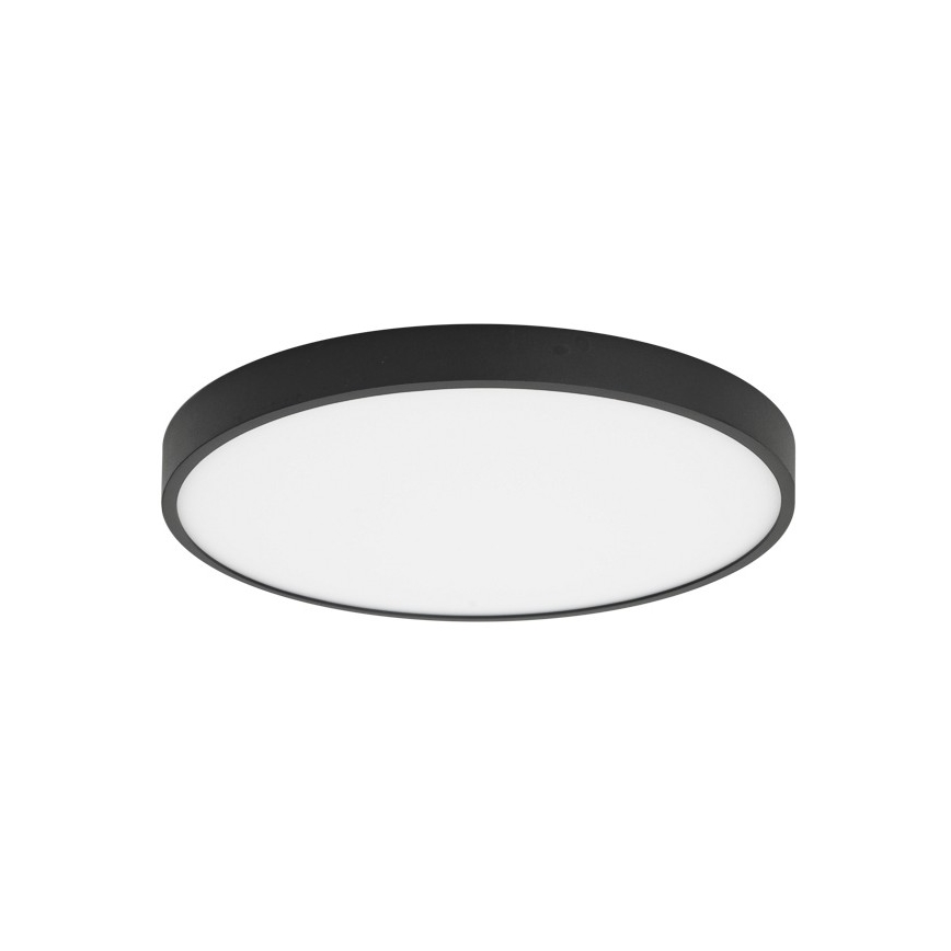ITALUX - LED taklampa RIBERIO LED/30W/230V 4000K svart