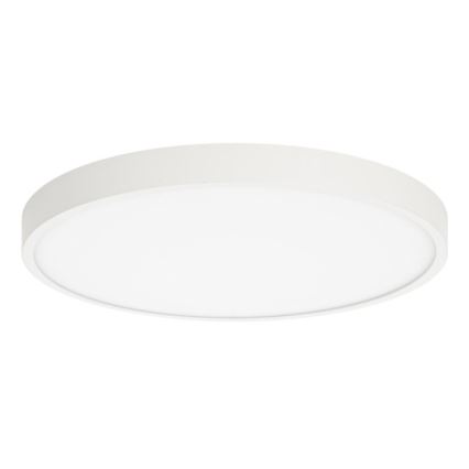 ITALUX - LED taklampa RIBERIO LED/30W/230V 3000K vit