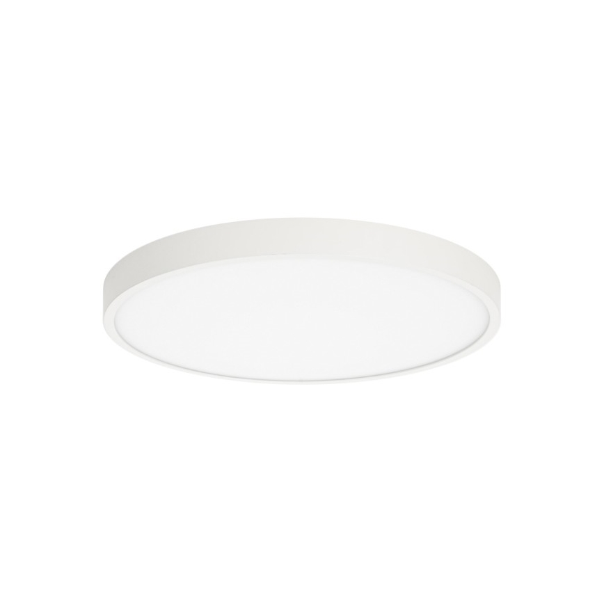 ITALUX - LED taklampa RIBERIO LED/30W/230V 3000K vit
