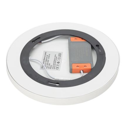 ITALUX - LED taklampa RIBERIO LED/30W/230V 3000K vit