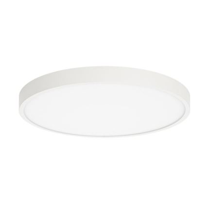 ITALUX - LED taklampa RIBERIO LED/30W/230V 4000K vit