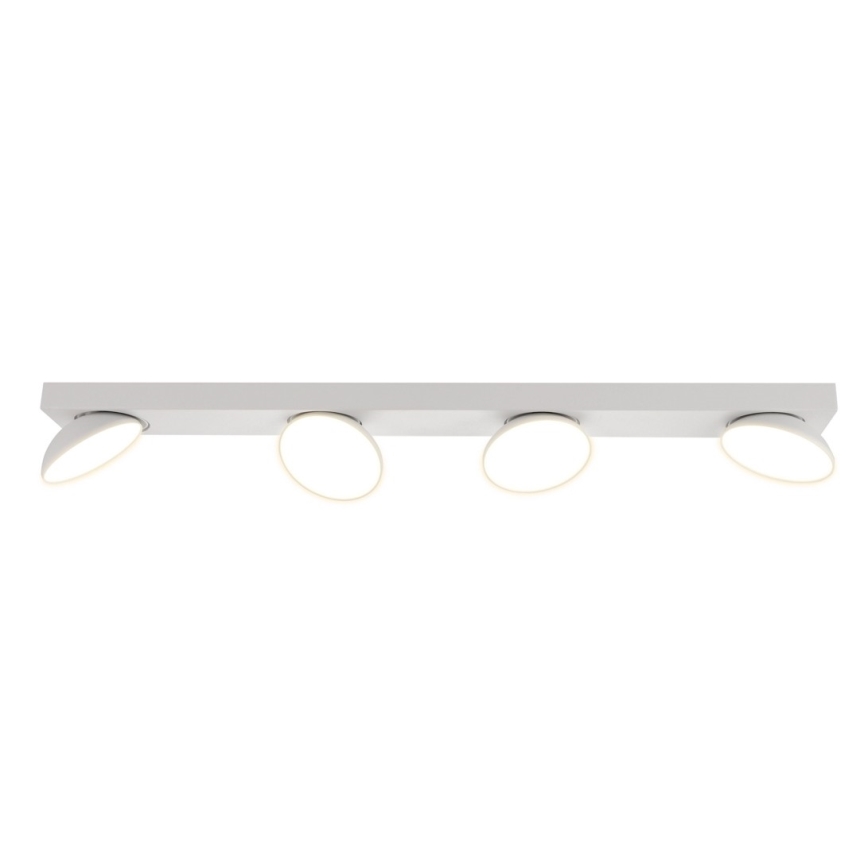 ITALUX - LED spotlight CASTELIO 4xLED/5W/230V 4000K vit