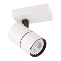 ITALUX - Spotlight LACONI 1xGU10/35W/230V vit