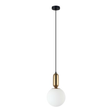 ITALUX - Taklampa ALDEVA 1xE27/40W/230V Ø 20 cm svart/brons