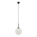 ITALUX - Taklampa DEORE 1xE27/40W/230V Ø 25 cm svart