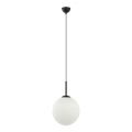 ITALUX - Taklampa DEORE 1xE27/40W/230V Ø 30 cm svart