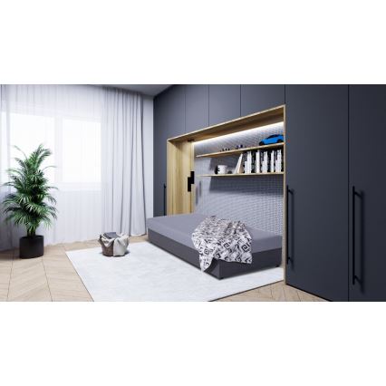 Upphöjd bäddsoffa med förvaringsutrymme JACOB XL, maxvikt 130 kg, 90x200 cm, grå