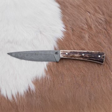 Jaktsändningskniv 12 cm hjorthorn