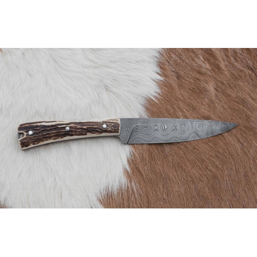 Jaktsändningskniv 12 cm hjorthorn