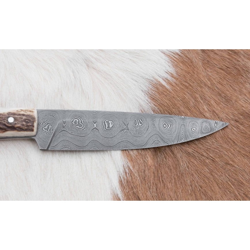 Jaktsändningskniv 12 cm hjorthorn