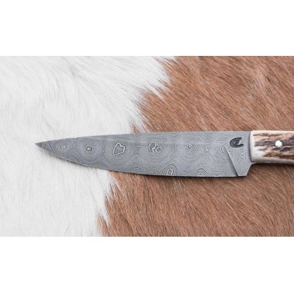 Jaktsändningskniv 12 cm hjorthorn
