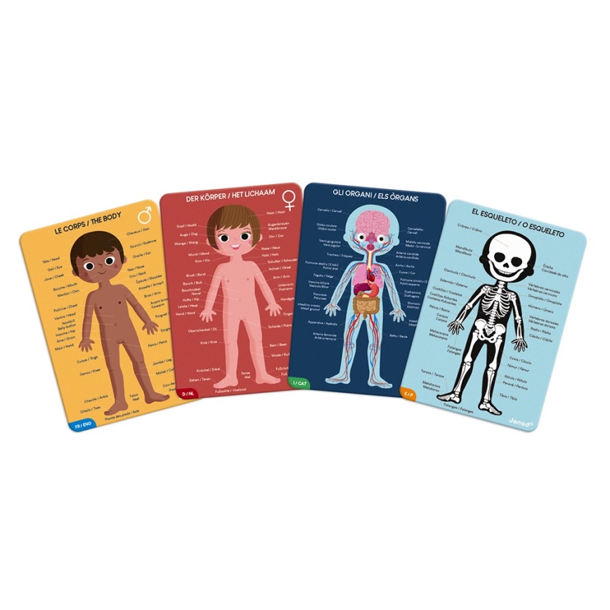 Janod - Children's educational puzzle 225 delar human body