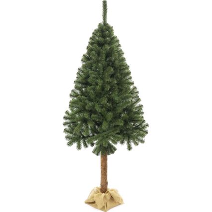 Julgran på en stam 160 cm gran