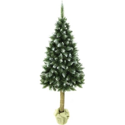 Julgran på en stam 180 cm gran