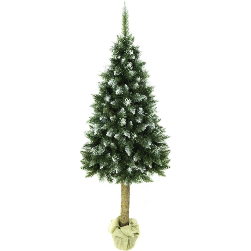Julgran på en stam 180 cm gran