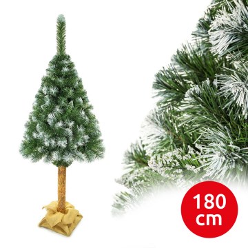 Julgran på en stam 180 cm tall