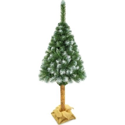 Julgran på en stam 180 cm tall