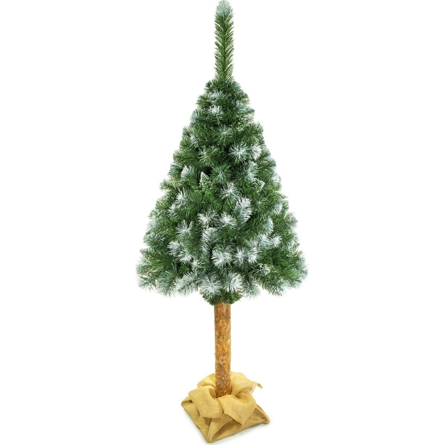 Julgran på en stam 180 cm tall