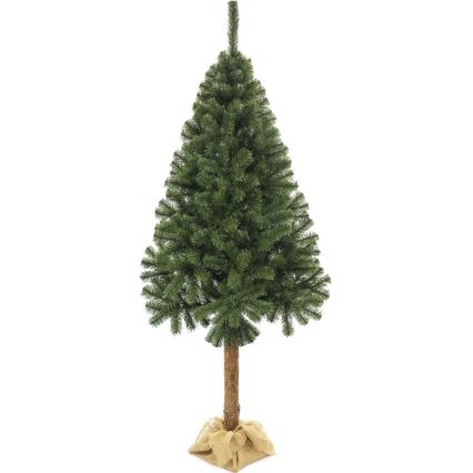 Julgran på en stam 220 cm gran