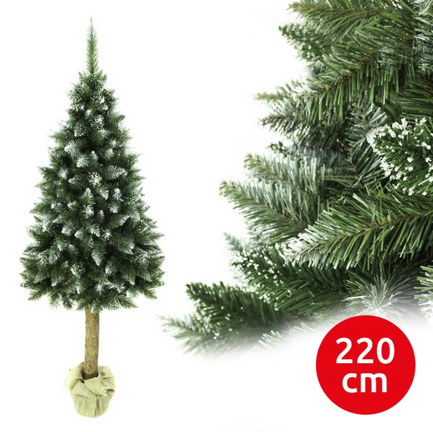 Julgran på en stam 220 cm gran