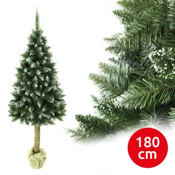 Julgran på stam 180 cm ädelgran